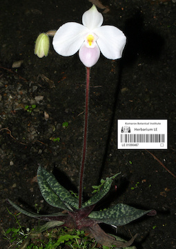 LE 01090467