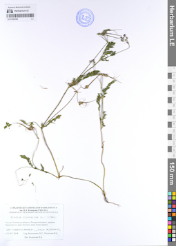 LE 01063392
