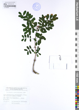 LE 01063449