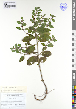 LE 01063473