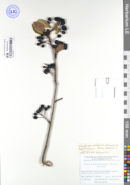 LE 01063477