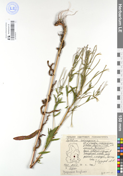 LE 01079275