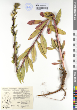 LE 01079301