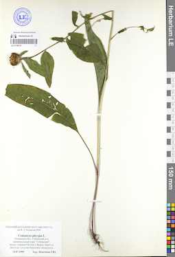 LE 01106141
