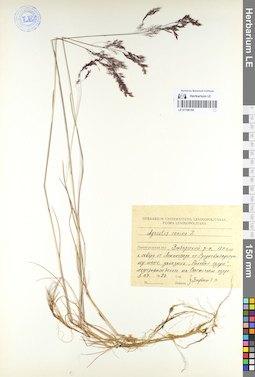 LE 01106154