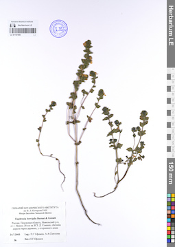 LE 01107440