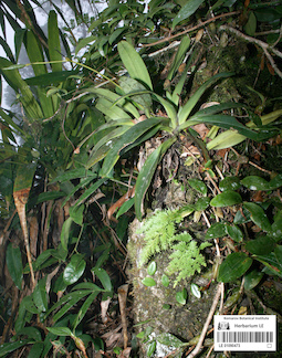 LE 01090473