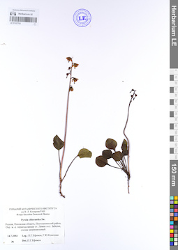 LE 01107703