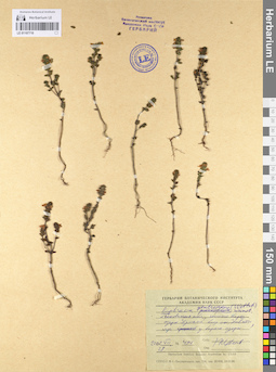 LE 01107710