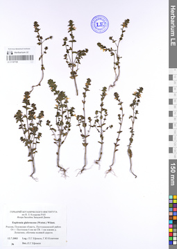 LE 01107728