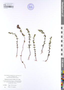LE 01107733