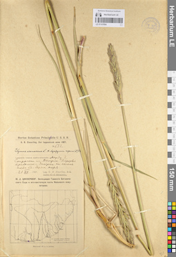 LE 01107894