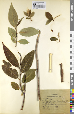 LE 01108688
