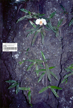 LE 01090485