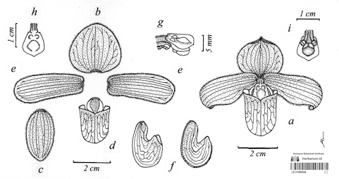 LE 01090544