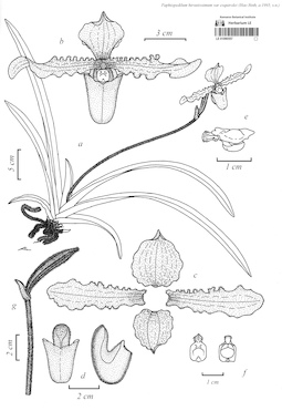 LE 01090557