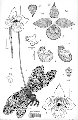 LE 01090569