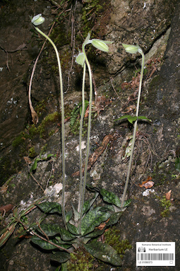 LE 01090573