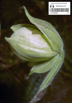 LE 01090584