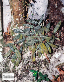 LE 01090601