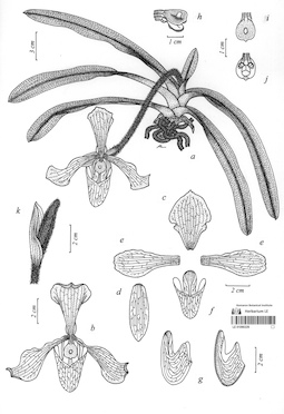 LE 01090629