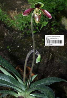 LE 01090648