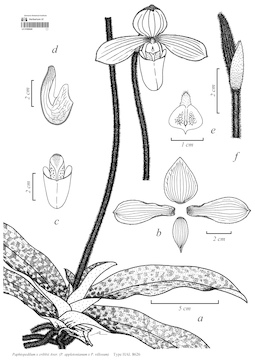 LE 01090649