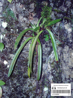 LE 01090662