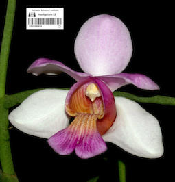 LE 01090674