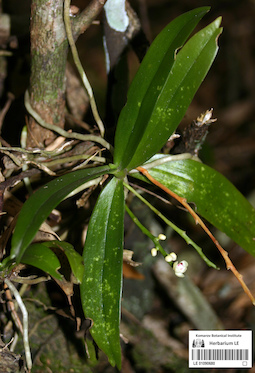 LE 01090680