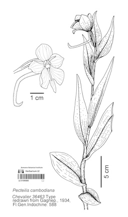 LE 01090685