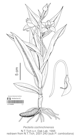 LE 01090688