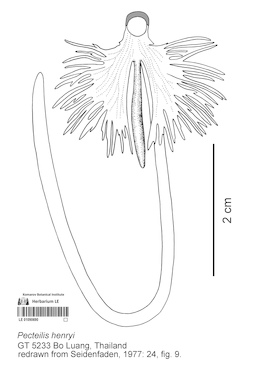 LE 01090690