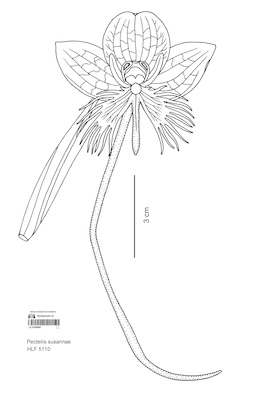 LE 01090692