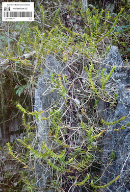 LE 01090701