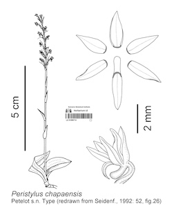 LE 01090714