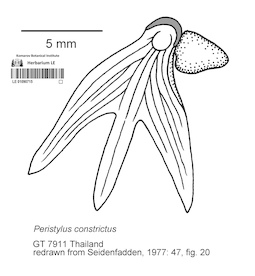 LE 01090715