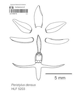 LE 01090716