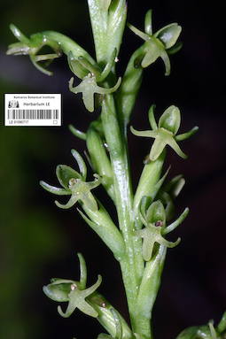 LE 01090717