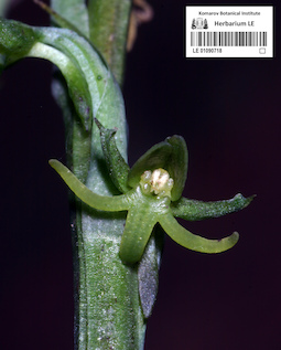 LE 01090718