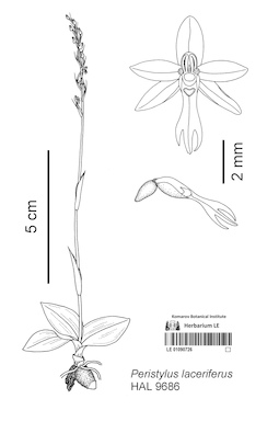 LE 01090726