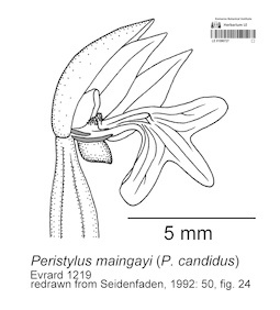 LE 01090727