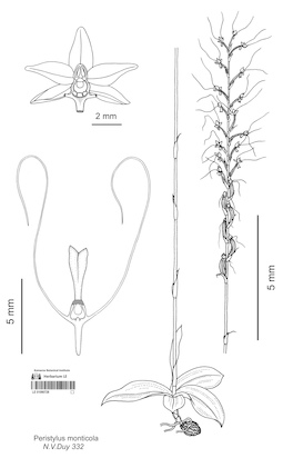 LE 01090728