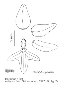 LE 01090731