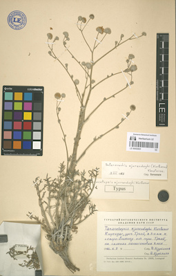 LE 00052825