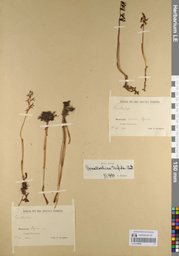 LE 01108946