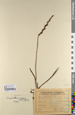LE 01108970