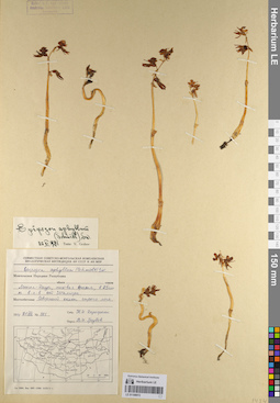 LE 01108972