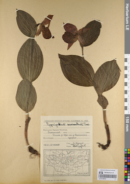 LE 01109318