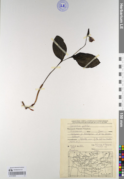 LE 01109326